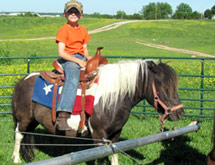 Pony Rides